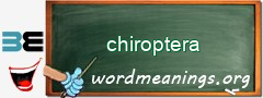 WordMeaning blackboard for chiroptera